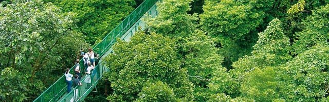 Puentes Colgantes
